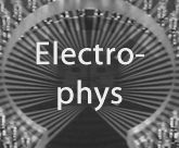 Electrophysiology